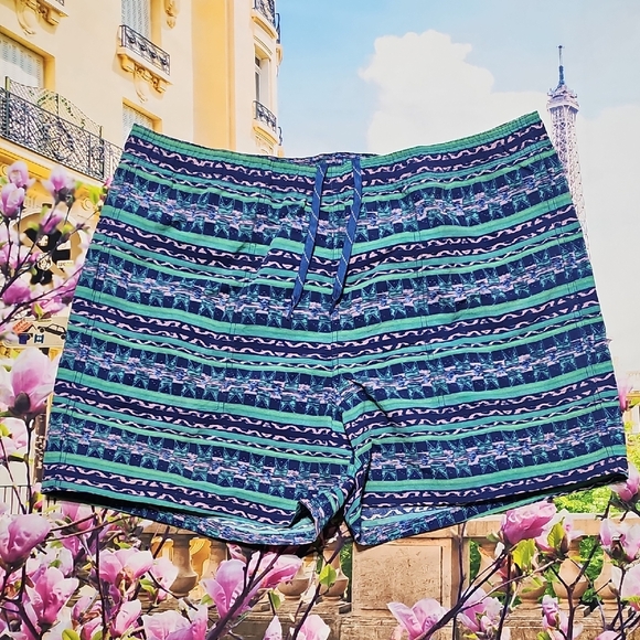 Alpine Design Men's Blue and Green Swim Trunks XL New - Picture 2 of 6